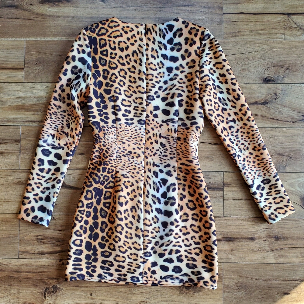 Clove Long Sleeve Mini Dress - Picture 4 of 5